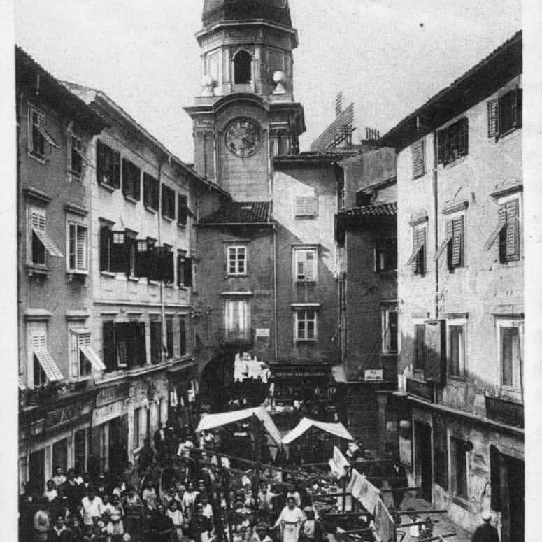 maslina-koblerov-trg